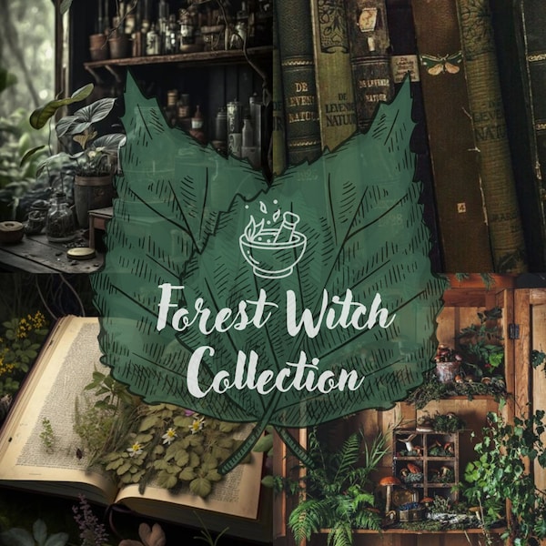 The Forest Witch Curated Collection // naturecore goblincore forestcore witchy vintage thrift mystery box grab bag bundle gift for her