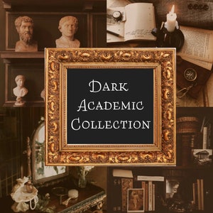 The Dark Academic Curated Collection // academia vintage thrifted mystery box bundle style gift her antique books scholar aesthetic jewelry