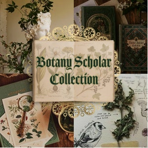 The Botany Scholar Curated Collection // green academia botanical thrift vintage mystery box bundle gift academic scholar aesthetic books