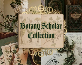 The Botany Scholar Curated Collection // green academia botanical thrift vintage mystery box bundle gift academic scholar aesthetic books