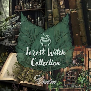 The Forest Witch Curated Collection // naturecore goblincore forestcore witchy vintage thrift mystery box grab bag bundle gift for her
