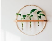 Bamboo Wood wall hanging propagation vase