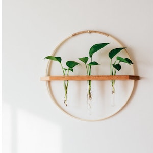 Bamboo/Wood wall hanging propagation vase image 1