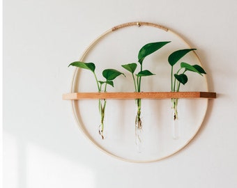 Bamboo/Wood wall hanging propagation vase