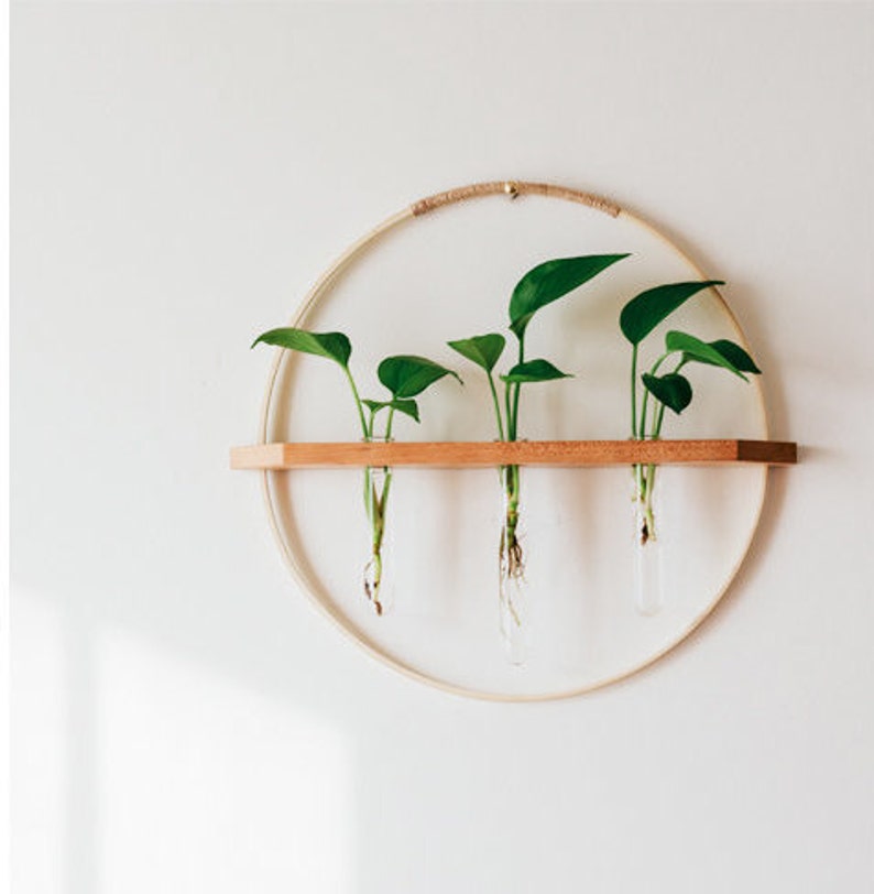 Bamboo/Wood wall hanging propagation vase image 1