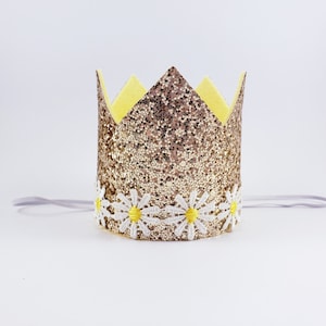daisy birthday crown, happy bee day, sweeter than honey, first bee day crown, sweet as can bee party, honey bee birthday, daisy birthday