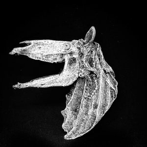 Mari Lwyd Magnet
