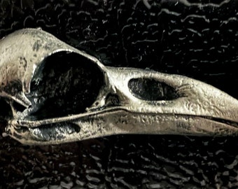 Raven skull magnet