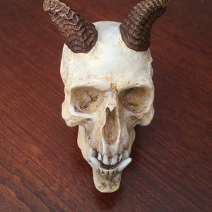 Imp Skull Replica