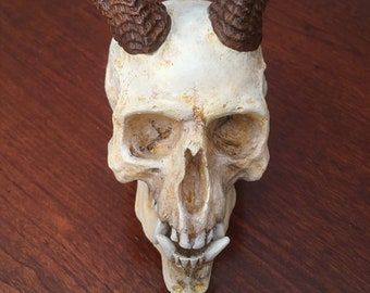 Imp Skull Replica