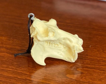 Hippo skull ornament