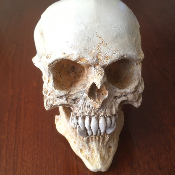 Goblin Skull Replica