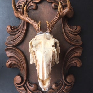 Jackalope Skull Plaque