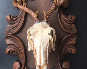Jackalope Skull Plaque