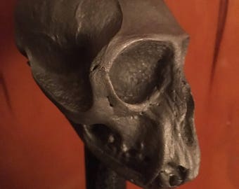 Monkey skull cane