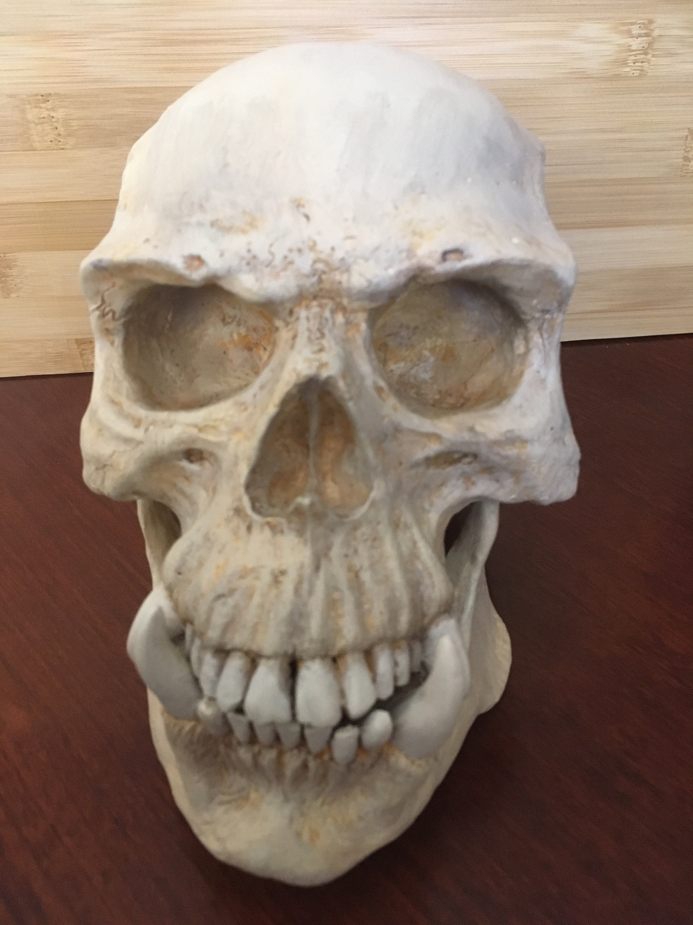 acOlaSia˙˚ʚ✞ɞ˚˙Skullb Org Zero x Realtree 3 Skull Blood 8.25