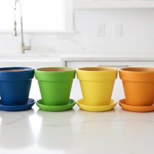 Può includere: Sei vasi di terracotta in fila, ognuno dipinto con un colore diverso dell'arcobaleno: viola, blu, verde, giallo, arancione e rosso. Ogni vaso è posto su un piattino abbinato. I vasi sono vuoti.