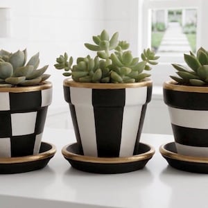 May include: Three decorative succulent planters with black and white patterns. The planters have gold rims and matching saucers. One planter has a checkerboard pattern, another has vertical stripes, and the third has horizontal stripes.