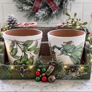 Peut inclure: Deux pots en terre cuite blancs avec des illustrations botaniques vertes sont placés dans un casier en bois vert rustique. Le casier est décoré de branches de pin, de petites guirlandes lumineuses, de baies rouges, d'une clochette et d'une étiquette THYME.