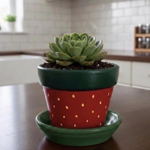 May include: A succulent plant in a hand-painted terracotta pot. The pot is red with yellow polka dots and a green rim, sitting on a matching green saucer. The plant has green leaves.