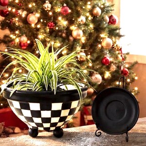 May include: A black and white checkered bowl with three small ball feet containing a green and white spider plant, positioned next to a solid black circular saucer resting on a black metal display stand on a wooden surface.