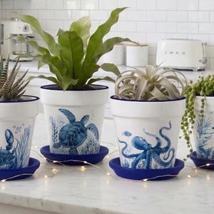May include: Four white ceramic plant pots with dark blue rims and matching saucers, each featuring a detailed blue illustration of a sea creature: a crab, a sea turtle, an octopus, and a seahorse, containing various green indoor plants.