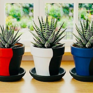 Hand-Painted Red, White & Blue Swirled Design Mini 2.5- Terra Cotta Planter Set, Home Decor