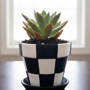 Hand-Painted Mini Checkered black and white Terra Cotta Planter: 2.5 inches-Indoor Decor