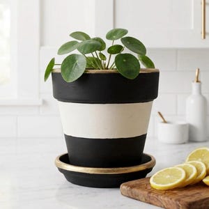 Hand-Painted Black White Striped Planter with Golden Trimming - 6” Indoor Decor