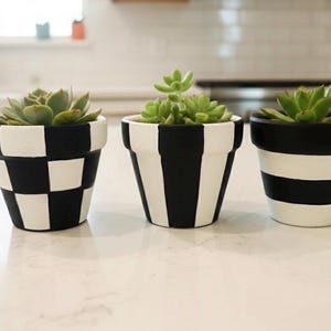 Hand-Painted Terra Cotta Planter Set, Black & White Checkered Striped 3.5 inch , Indoor Decor