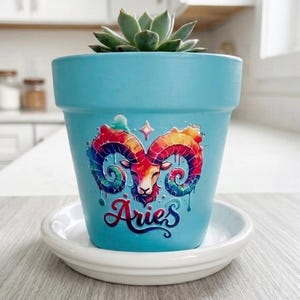 May include: A light blue ceramic flower pot with a colorful Aries zodiac design. The pot holds a green succulent plant and sits on a white saucer. The Aries design features a ram's head with rainbow-colored horns and the word "Aries".
