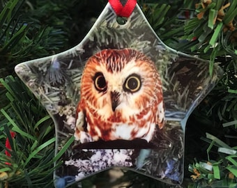 Rockefeller Owl  Ornament Star