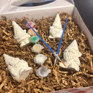 May include: A craft kit featuring four unpainted gnome figurines, small paint pots with various colors, and two paintbrushes. The gnomes are white and sit on brown paper filler inside a box with a red and white checkered border.