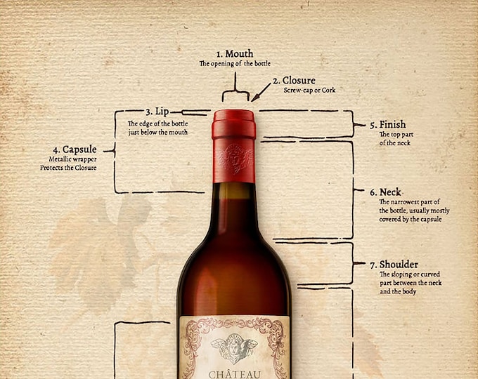 Cheers! Anatomy of a Bottle 24" Panel // Clothworks Y3914-64