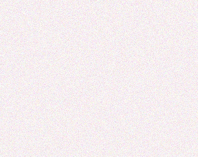 Lovebugs Blender Fabric // Quilting Treasures 29209-Z by the Half Yard