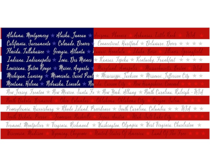 SALE One Nation 22" Flag Fabric Panel // Henry Glass 120P-78