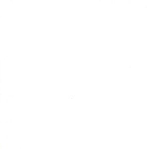 May include: A white background with no visible objects or text.