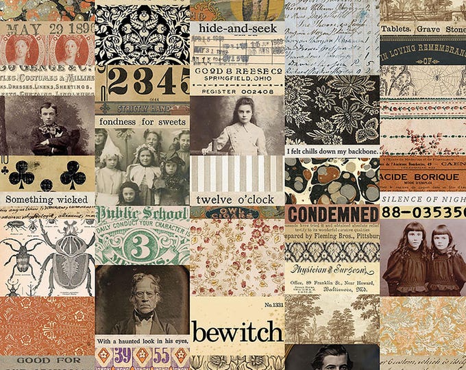 Tim Holtz Seasonal Palette Halloween Collage Fabric // FreeSpirit PWTH330.HALLOWEEN by the Half Yard