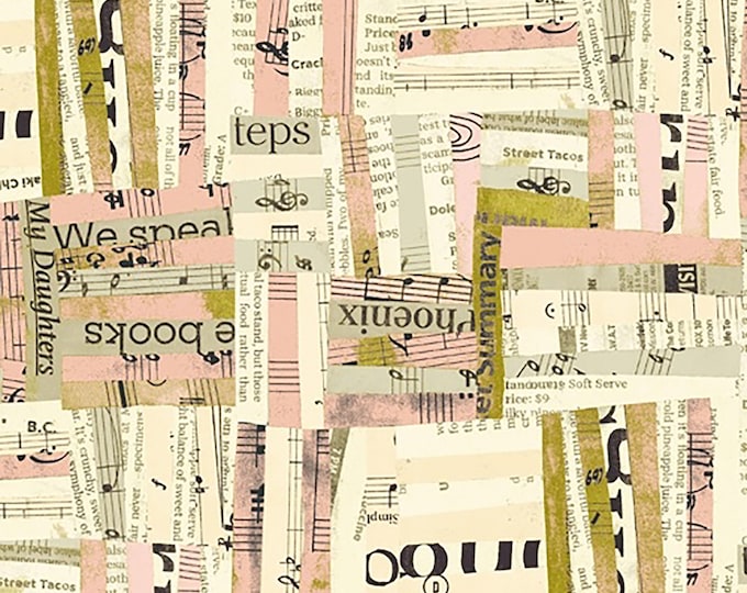 Wish Woven Text Fabric // Carrie Bloomston // Windham Fabrics 51741-4 by the Half Yard