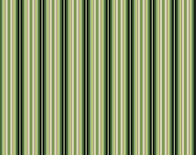 Bouquet Color Stripe Fabric // Michel Design Works // Northcott Studio 23093-74 by the Half Yard
