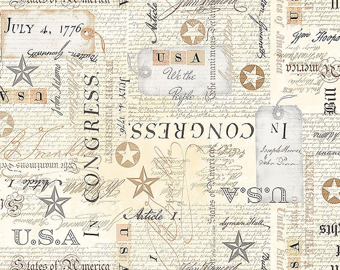 Star Spangled USA Bill of Rights Text Fabric // Timeless Treasures GAIL-CD2221 by the Half Yard