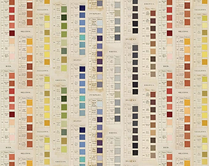 Tim Holtz Multi Palette Fabric // FreeSpirit PWTH328.MULTI by the Half Yard