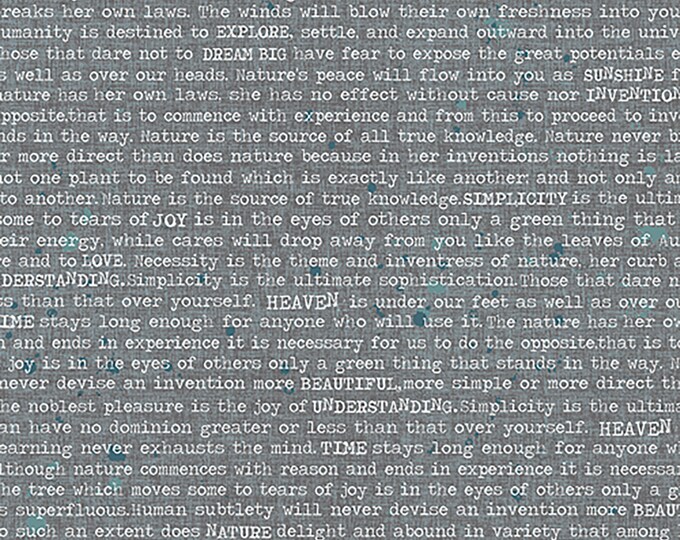 AGF Blithe Philosopher’s Thoughts Fabric // Art Gallery Fabrics BLI-75601 by the Half Yard