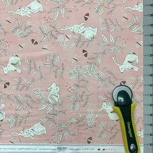 Agf Meriwether AGF Meriwether Cotton Tail Fabric // Art Gallery MEW-46304 Explore by ...