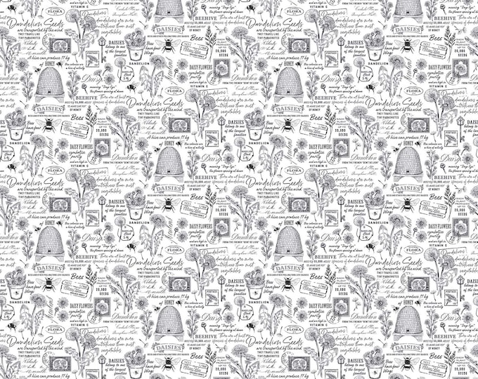 Beecroft Text Fabric // Northcott Studio 26679-10 by the HALF YARD