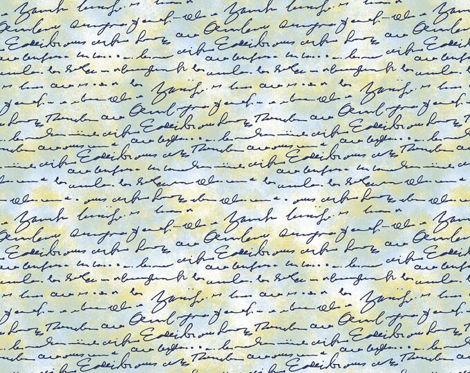 Air Mail Script on Texture Fabric // Studio E 8504-16 by the Half Yard