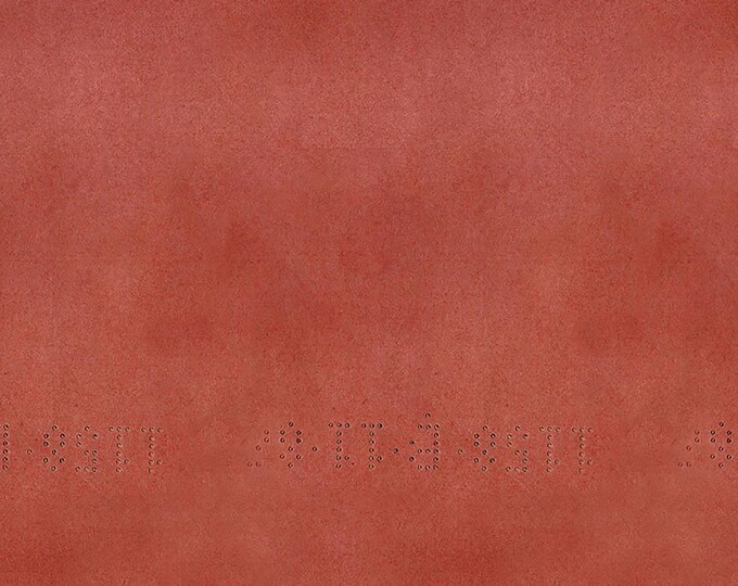 Tim Holtz Red Palette Vintage Fabric // FreeSpirit PWTH229.RED by the Half Yard