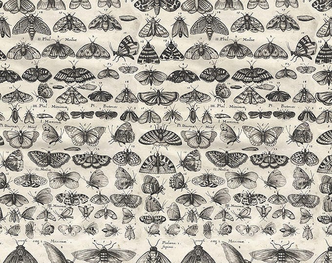 Tim Holtz CHARCOAL Palette Moths Fabric // FreeSpirit PWTH315.CHARCOAL by the Half Yard