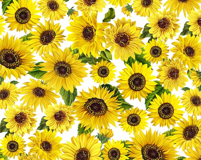Sunflower Sunrise Meadow Fabric // Kanvas Studio 9932-09 by the Half Yard