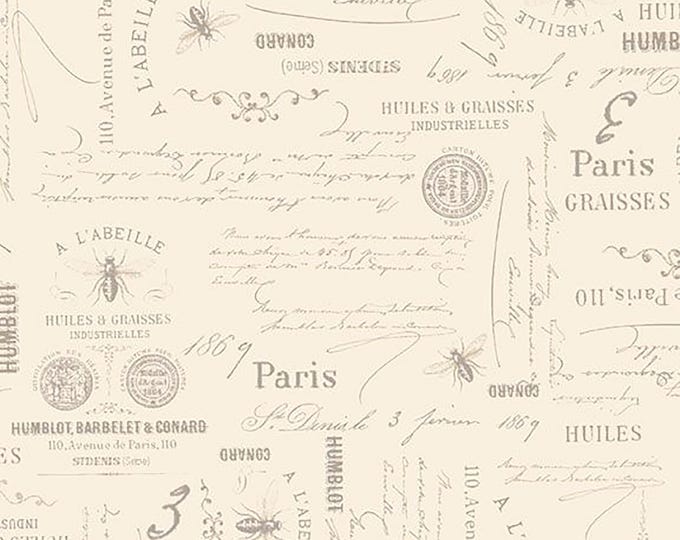 108" Premium Wide Quilt Back Bee Script Fabric // Marcus QB521322D Cream by the Half Yard